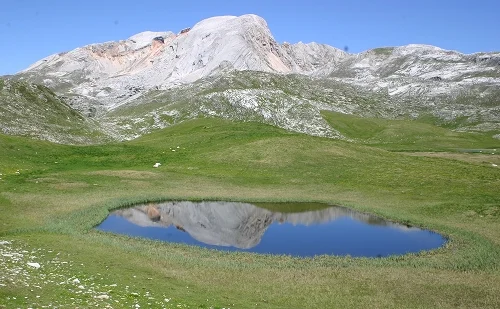 Immagine illustrativa