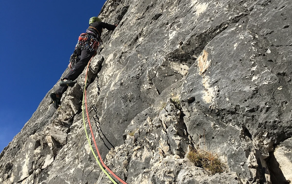 Immagine illustrativa