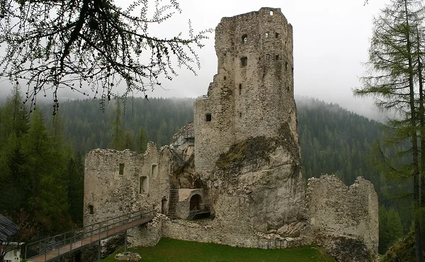 Immagine illustrativa