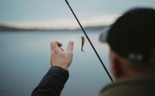 Immagine illustrativa