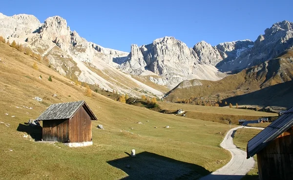 Immagine illustrativa