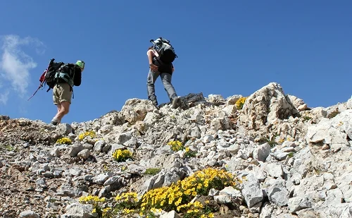 Immagine illustrativa