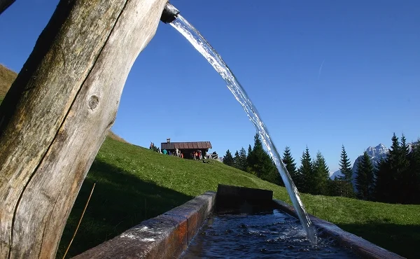 Immagine illustrativa