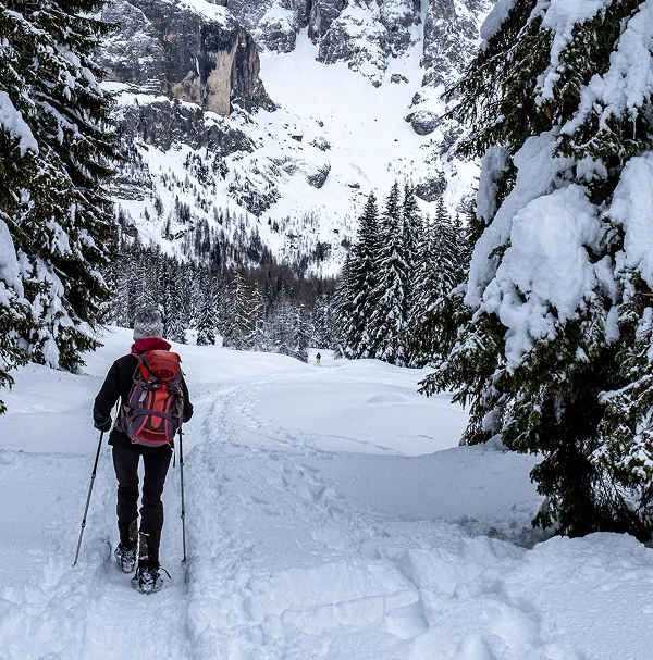 Immagine illustrativa