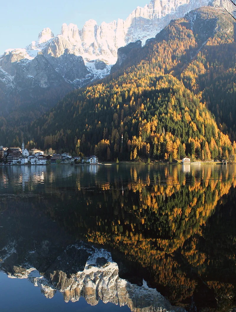 Immagine illustrativa