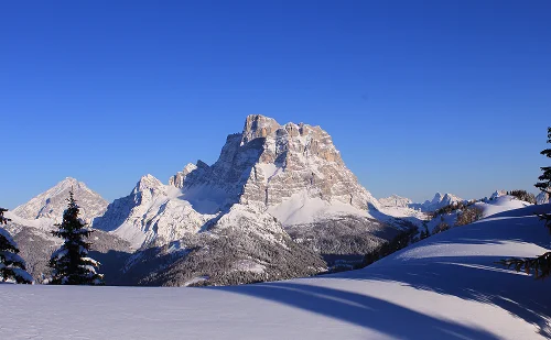 Immagine illustrativa