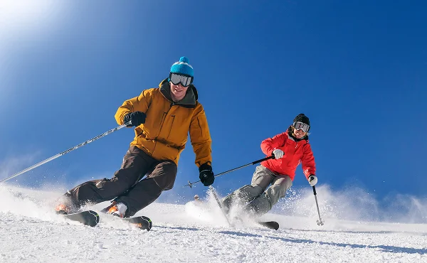 Immagine illustrativa