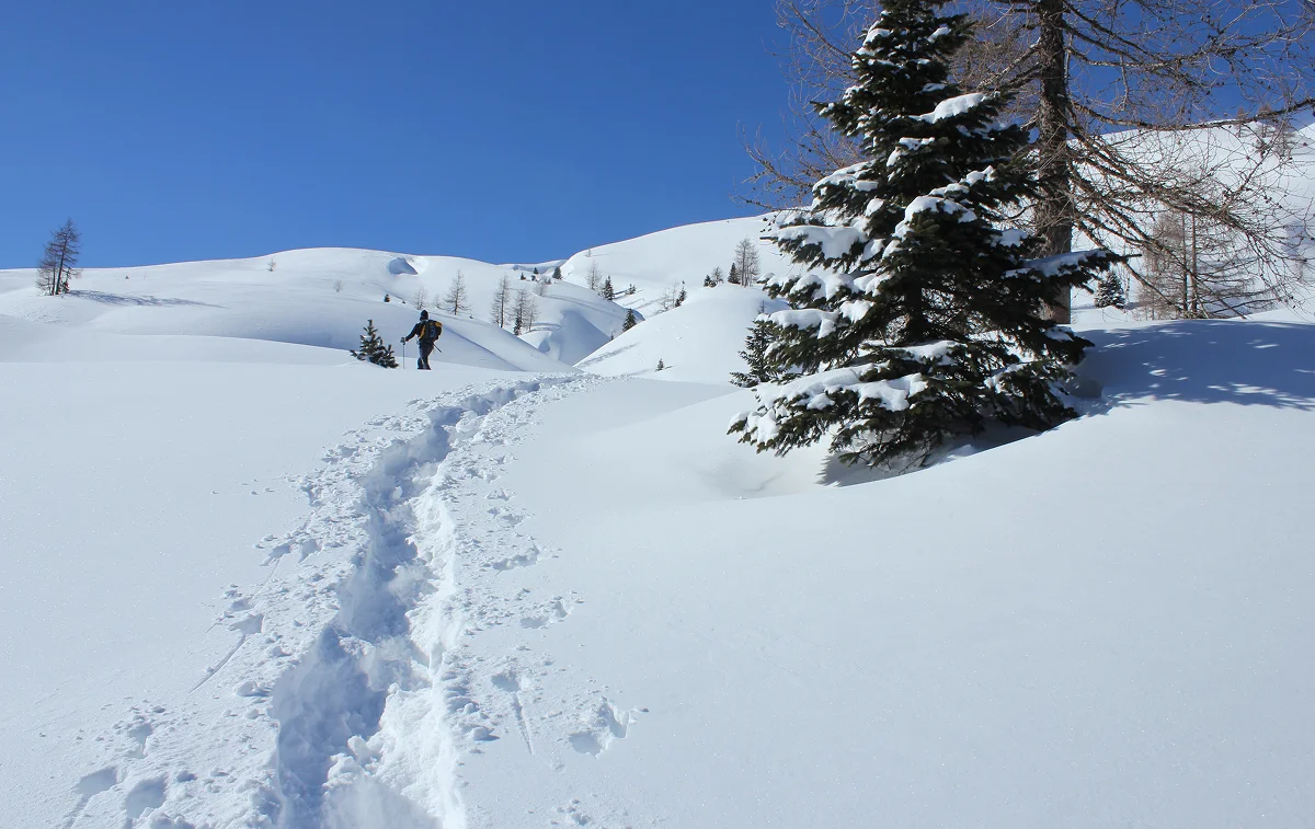 Immagine illustrativa