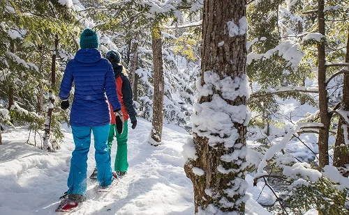 Immagine illustrativa