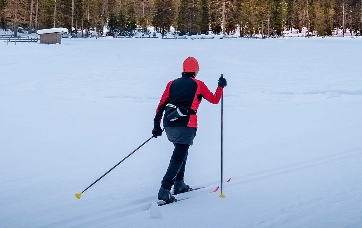 Immagine illustrativa