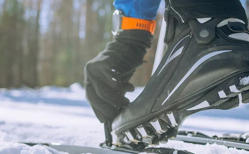 Immagine illustrativa