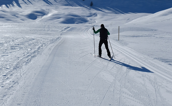 Immagine illustrativa