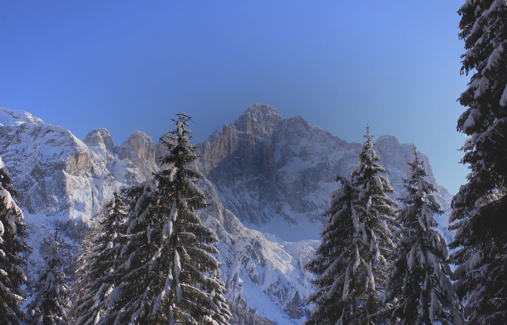 Immagine illustrativa