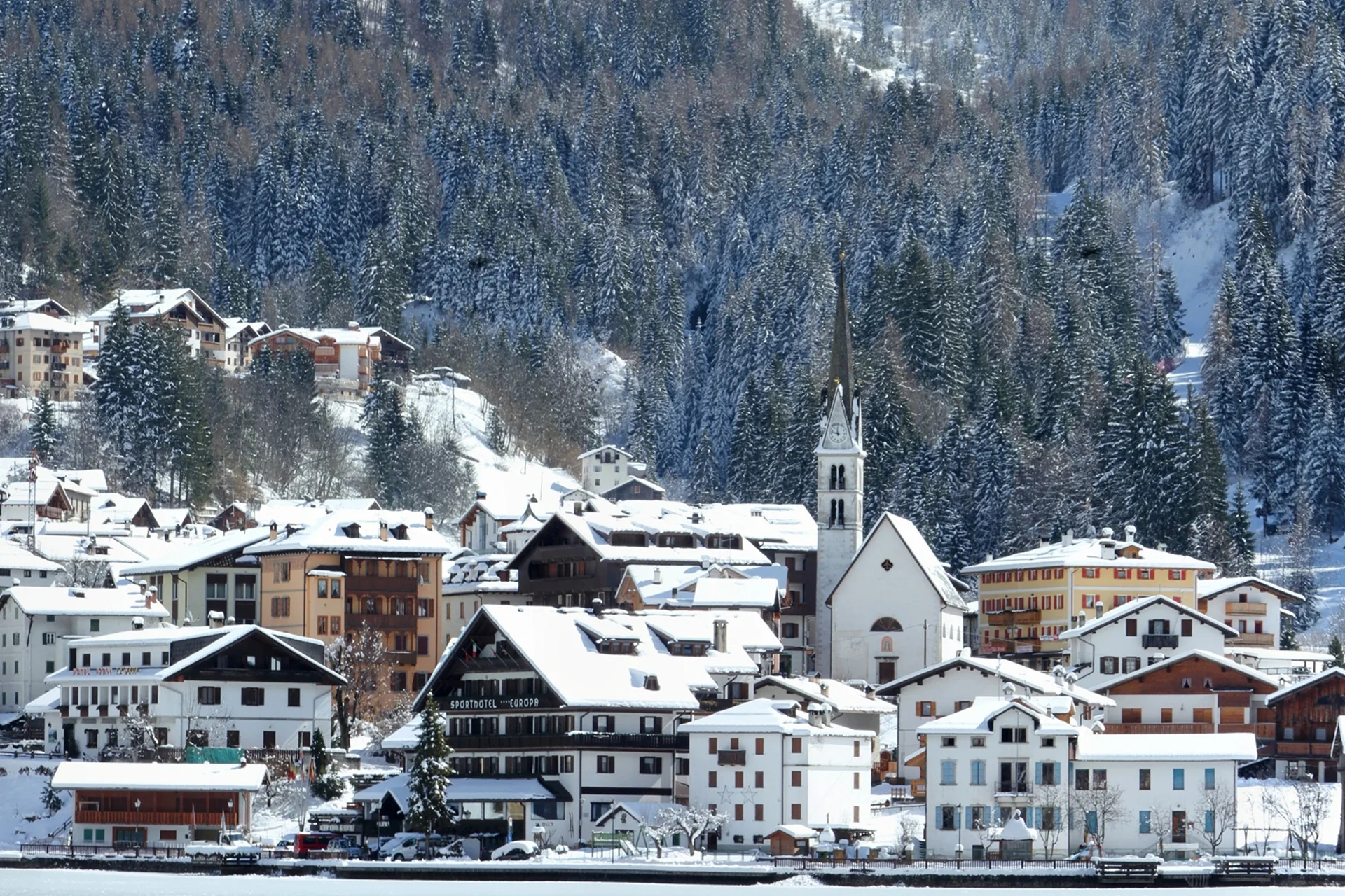 Immagine illustrativa