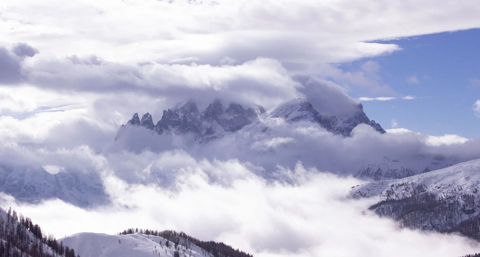 Immagine illustrativa