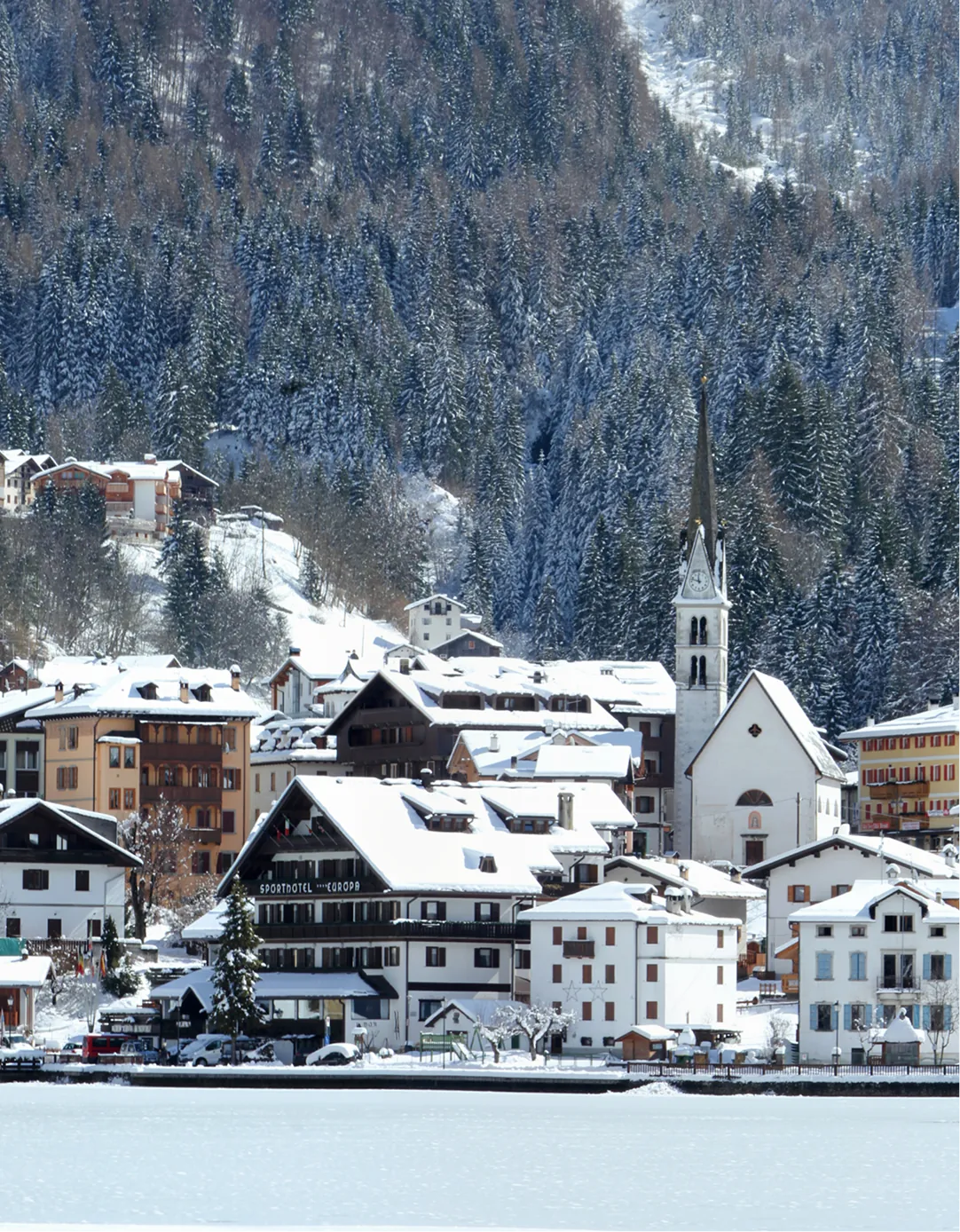 Immagine illustrativa