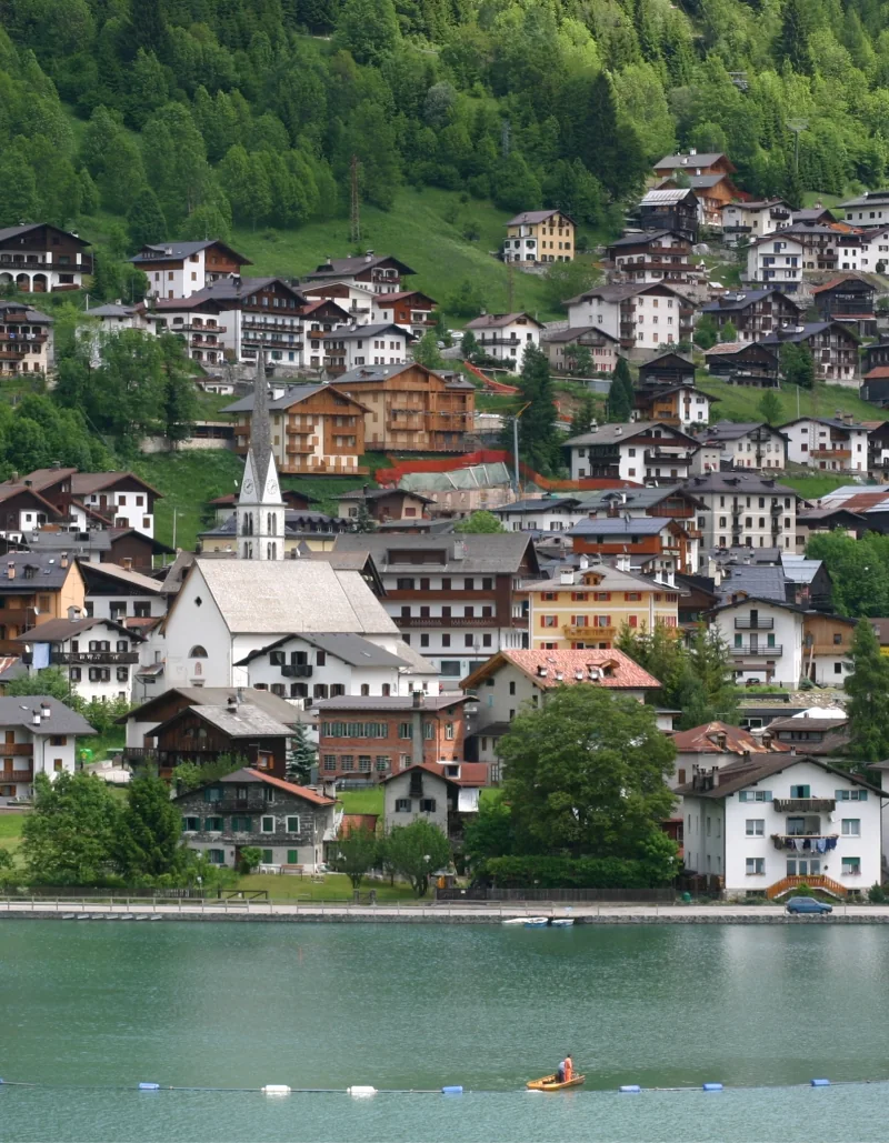 Immagine illustrativa