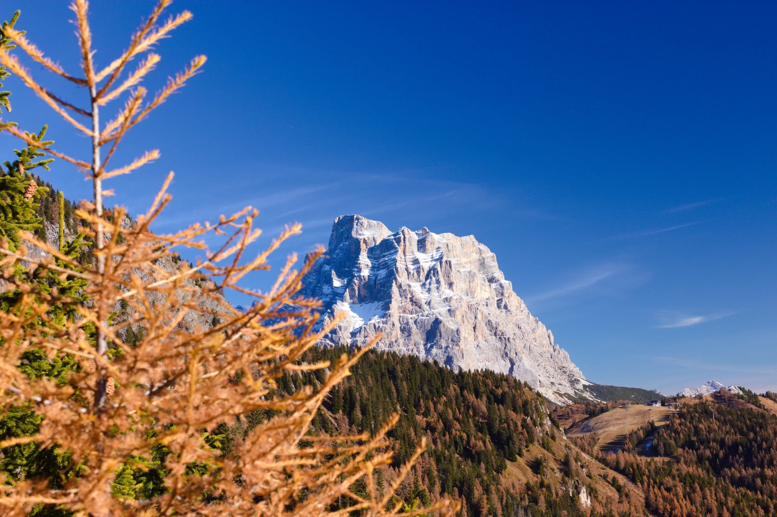 Immagine illustrativa