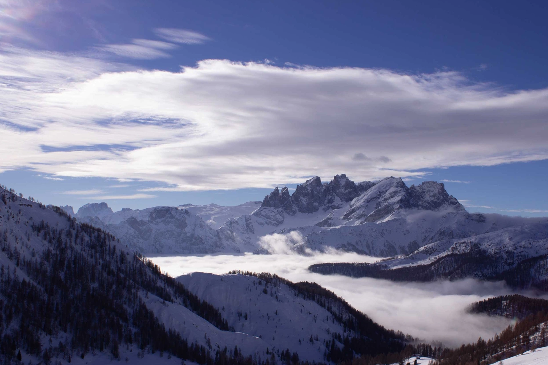 Immagine illustrativa