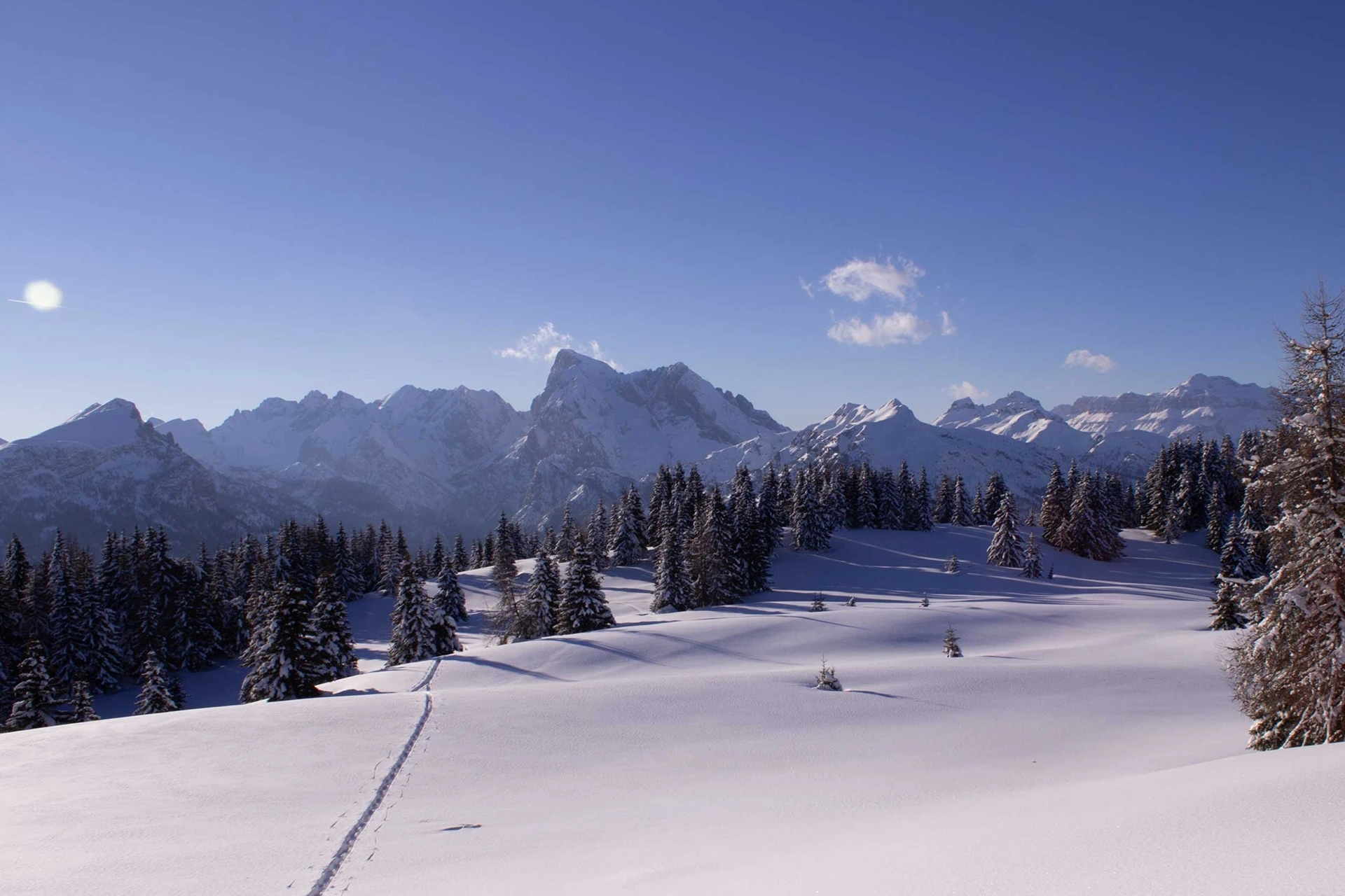 Immagine illustrativa