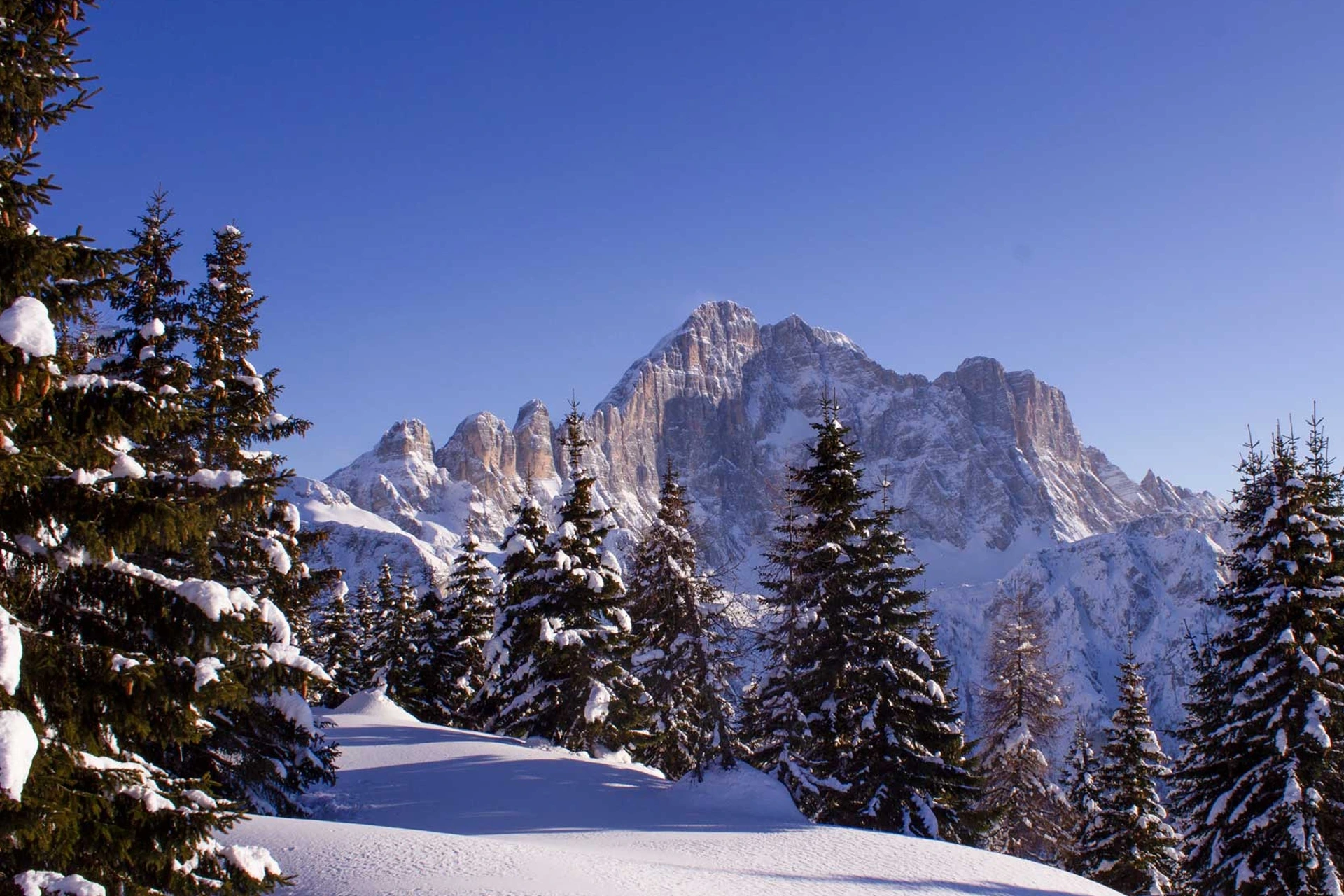 Immagine illustrativa